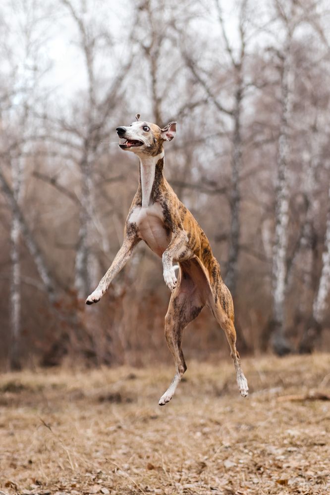 Photograph by Анна Вербилова