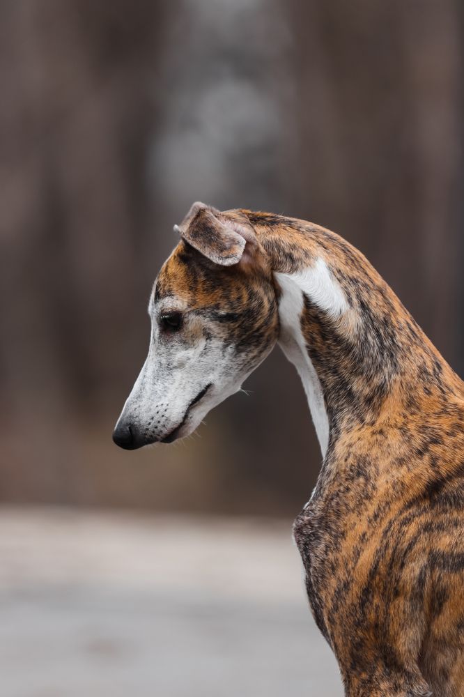 Photograph by Анна Вербилова