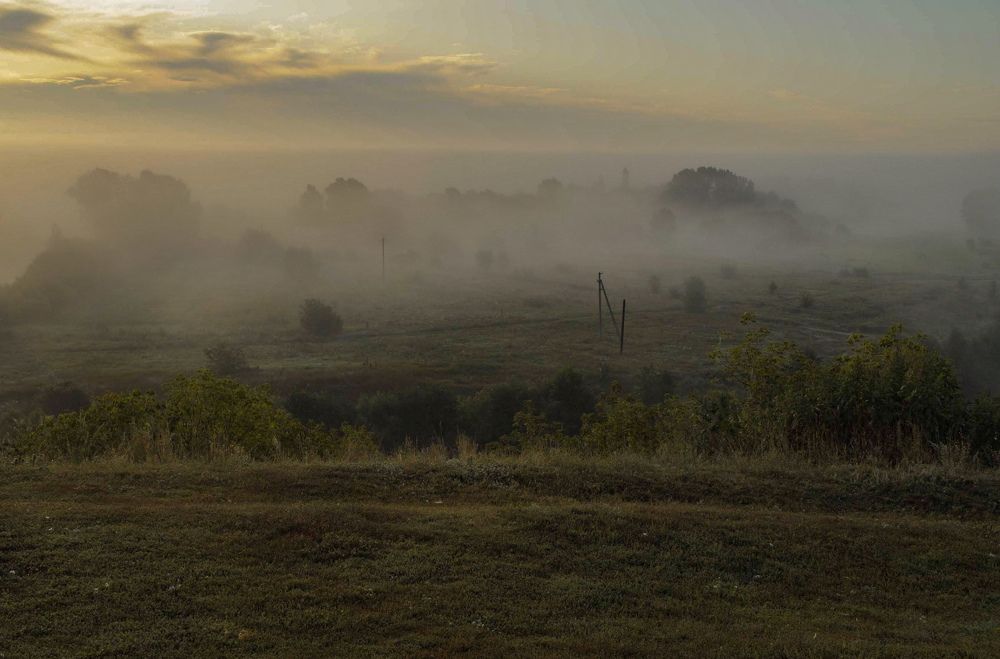 Photograph by Людмила Желтова