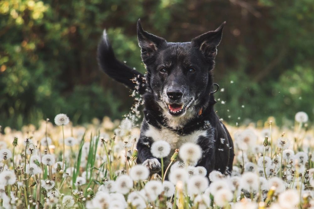 Photograph by Анна Вербилова