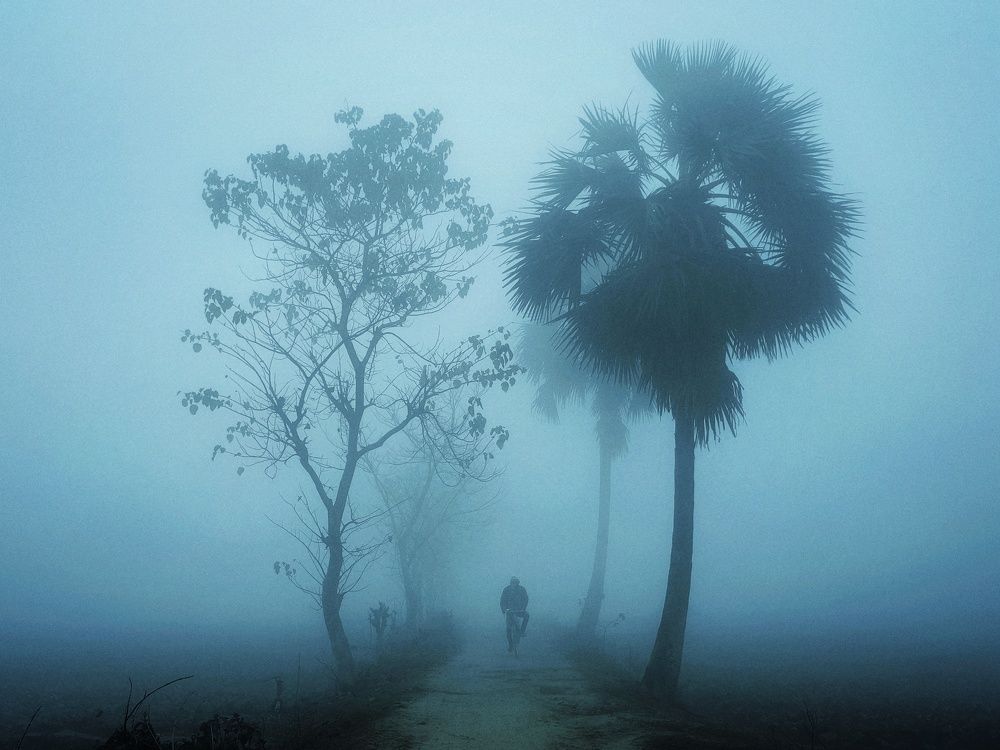 Photograph by PRADIPTAMOY PAUL