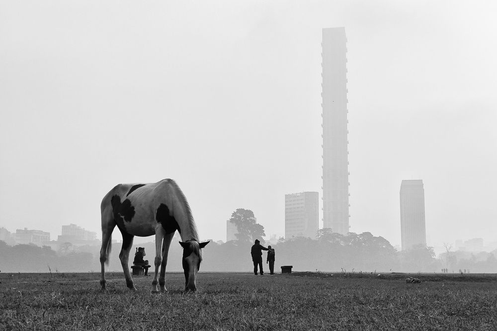 Фотография автора PRADIPTAMOY PAUL