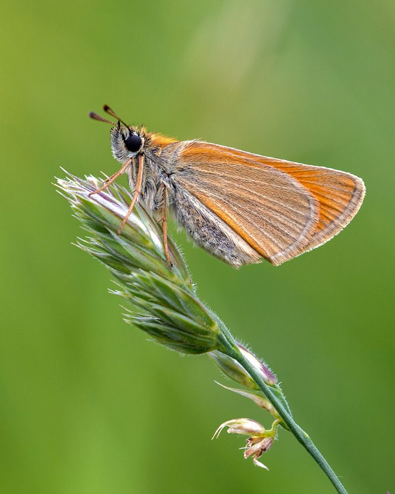 Фотография автора  Михаил