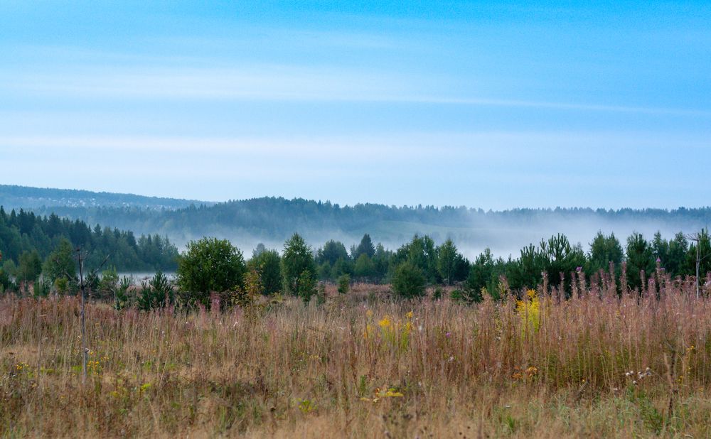 Photograph by Дмитрий Кузнецов