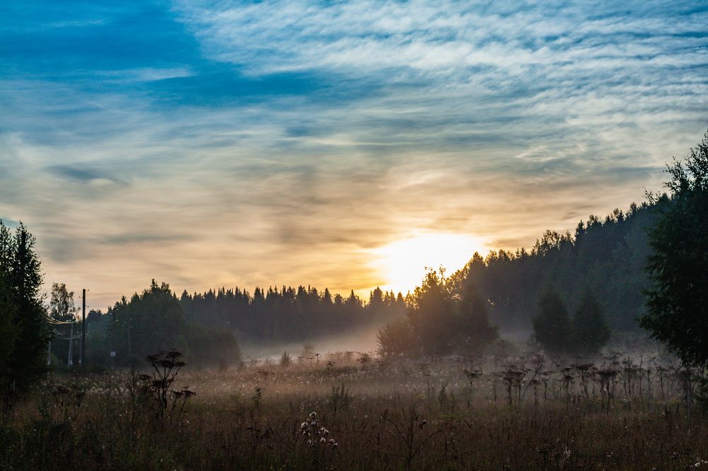 Photograph by Дмитрий Кузнецов