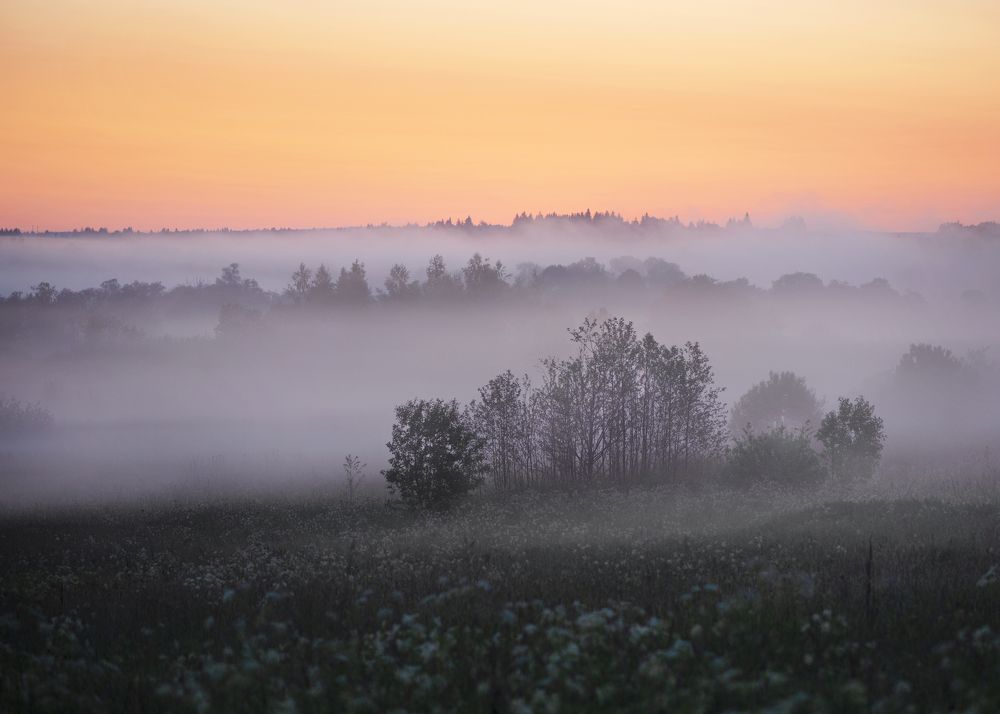 Фотография автора Ольга Белоусова