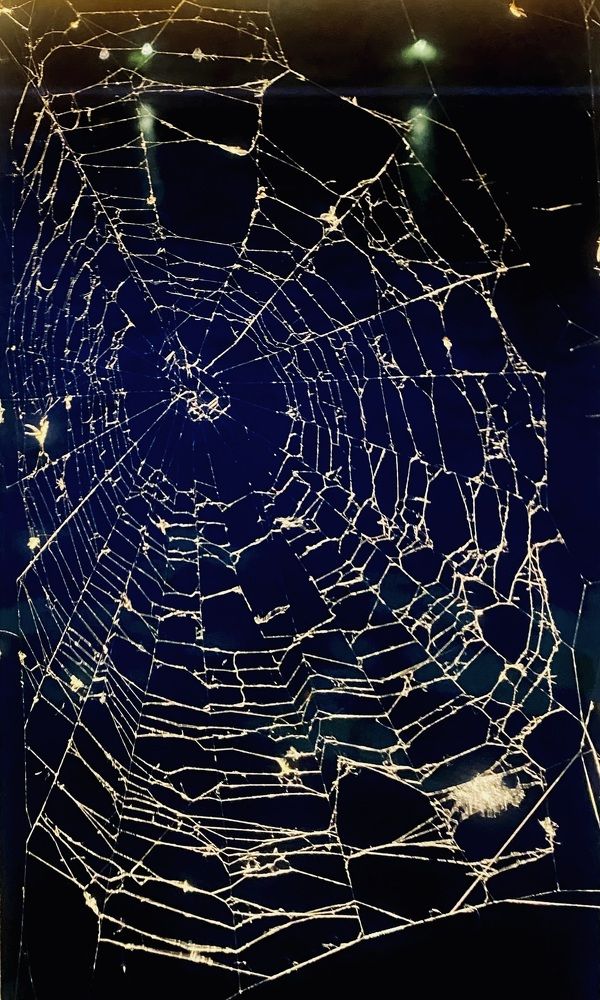 Ночная Вселенная