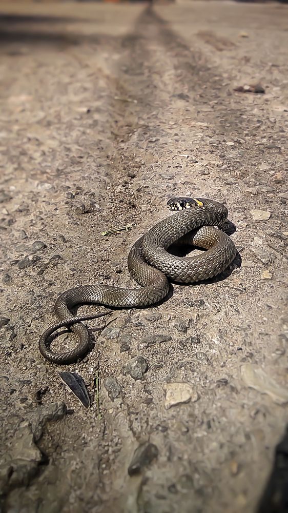 Photograph by Максим Ушенин