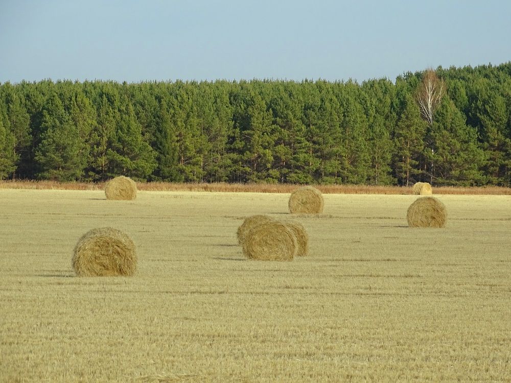 Photograph by Ирина Ахметова