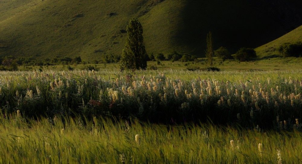 Photograph by Максимушкина Ольга