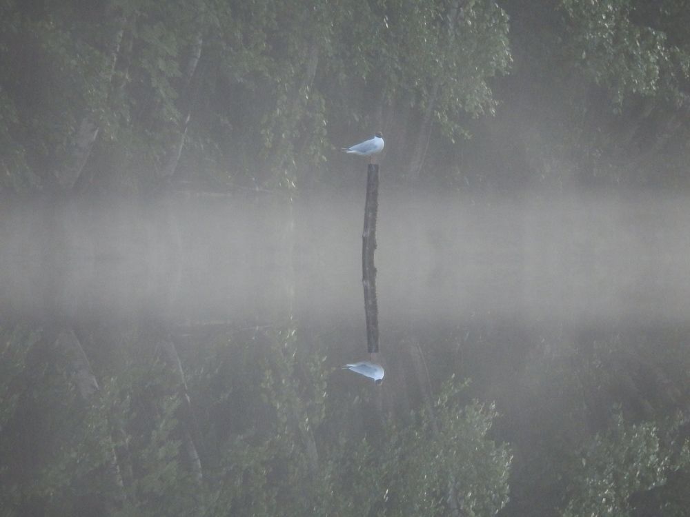 Photograph by Георгий Салюков