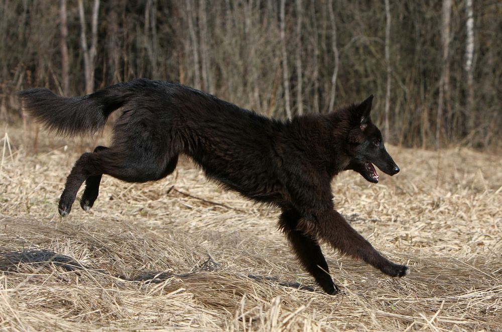 Фотография автора Надежда Лисицына