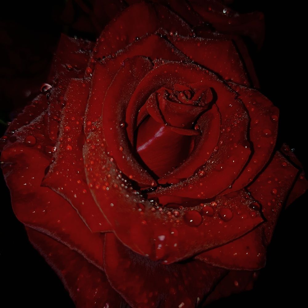 Photograph by Ольга Стариченко