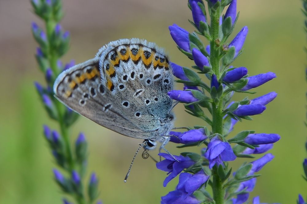 Photograph by Ольга Айдагулова