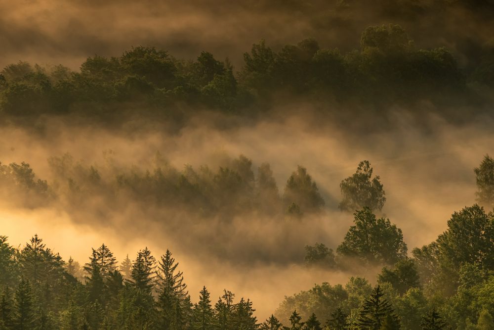 Photograph by Grzegorz Truchanowicz