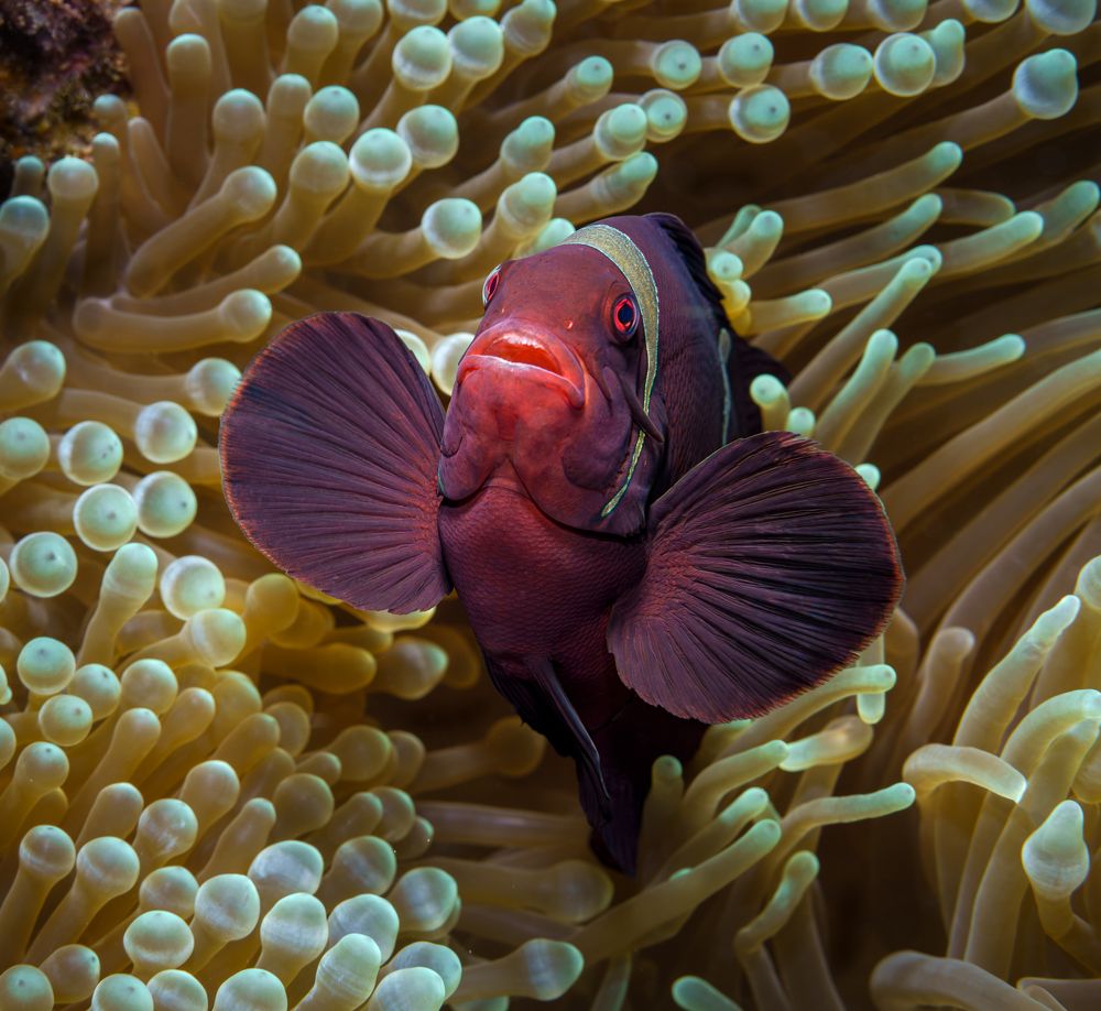 Photograph by Савин Андрей