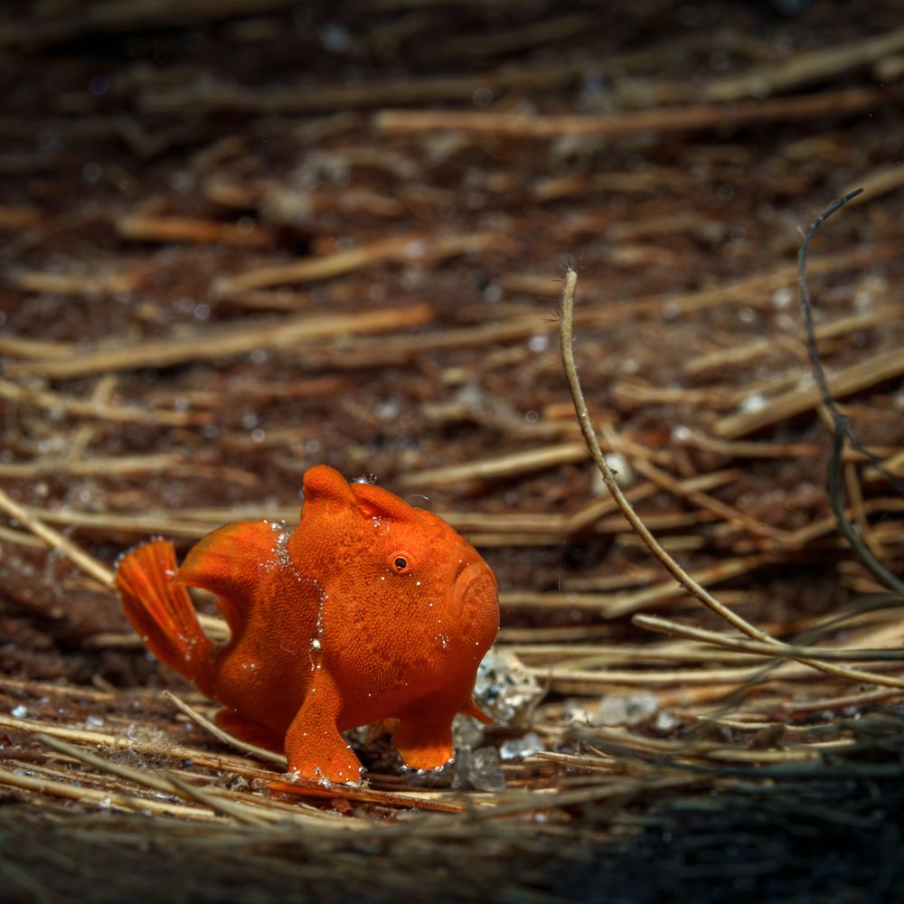 Photograph by Савин Андрей