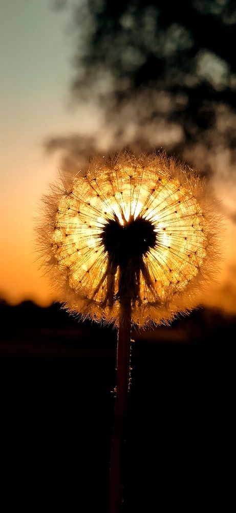 Photograph by Анастасия