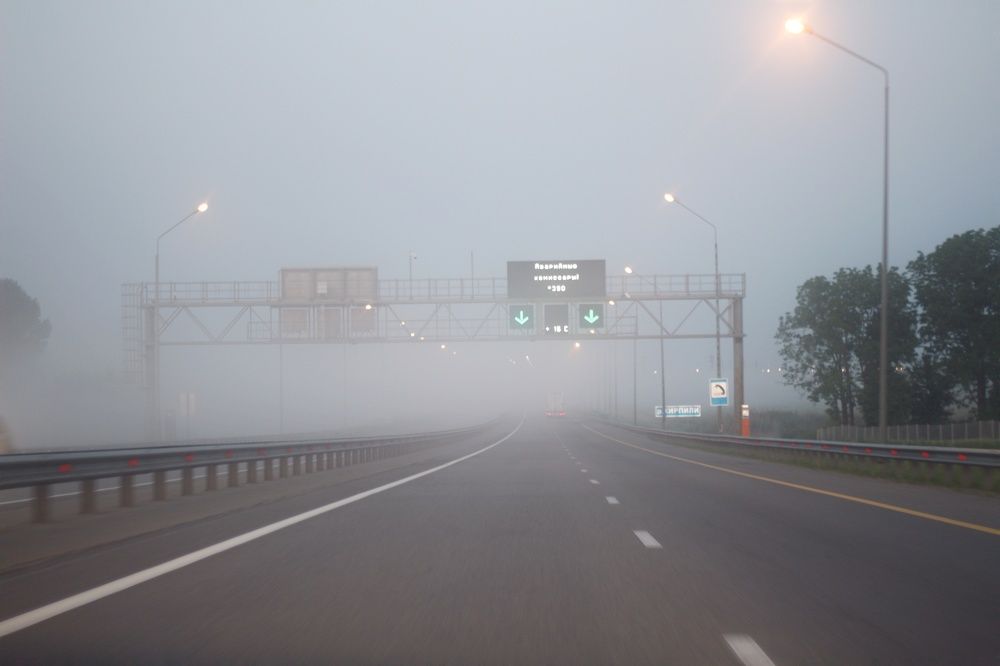 Фотография автора Татьяна Степанова