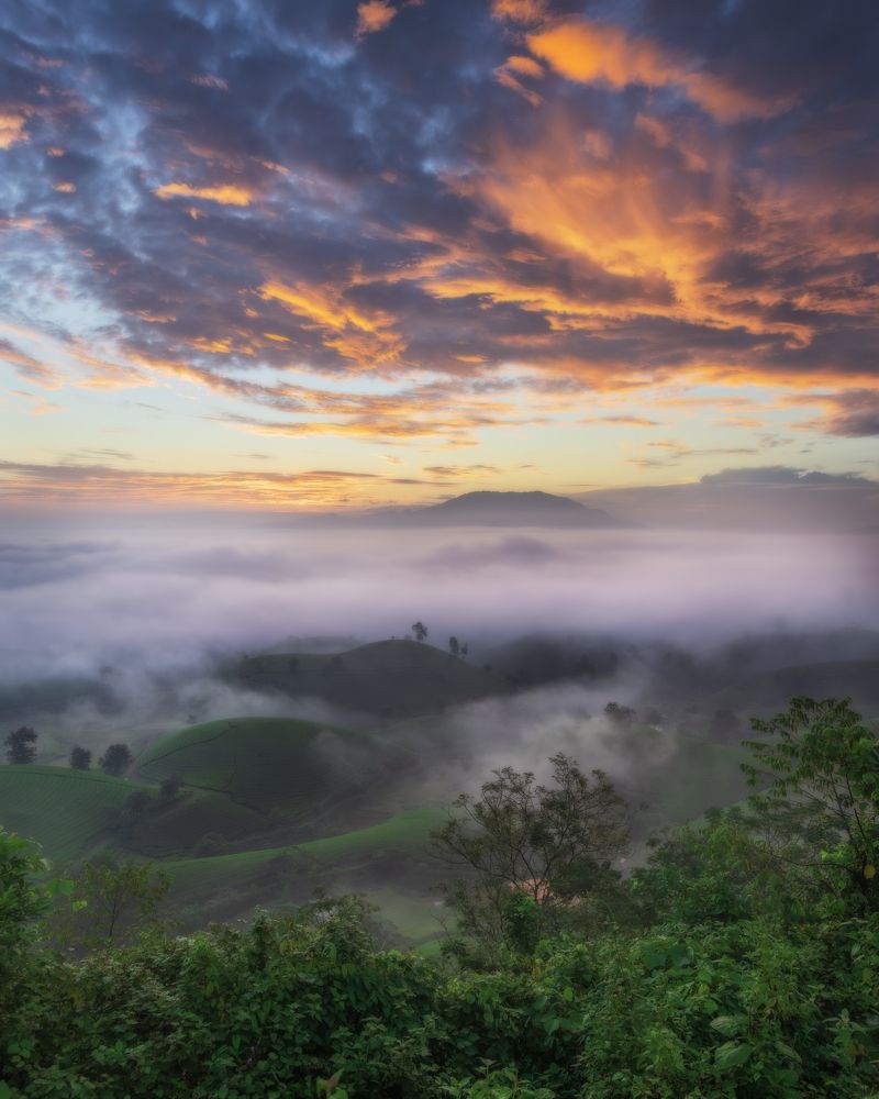 Photograph by Duy Chris