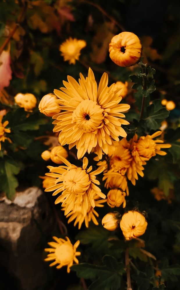 Photograph by Анастасия