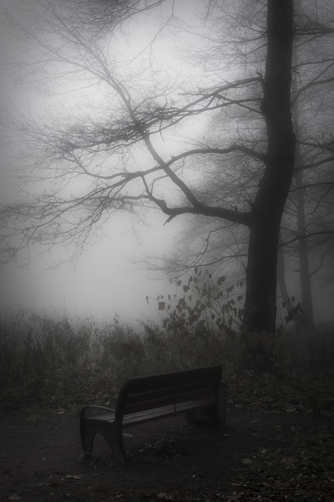 Photograph by Руслан Орлов