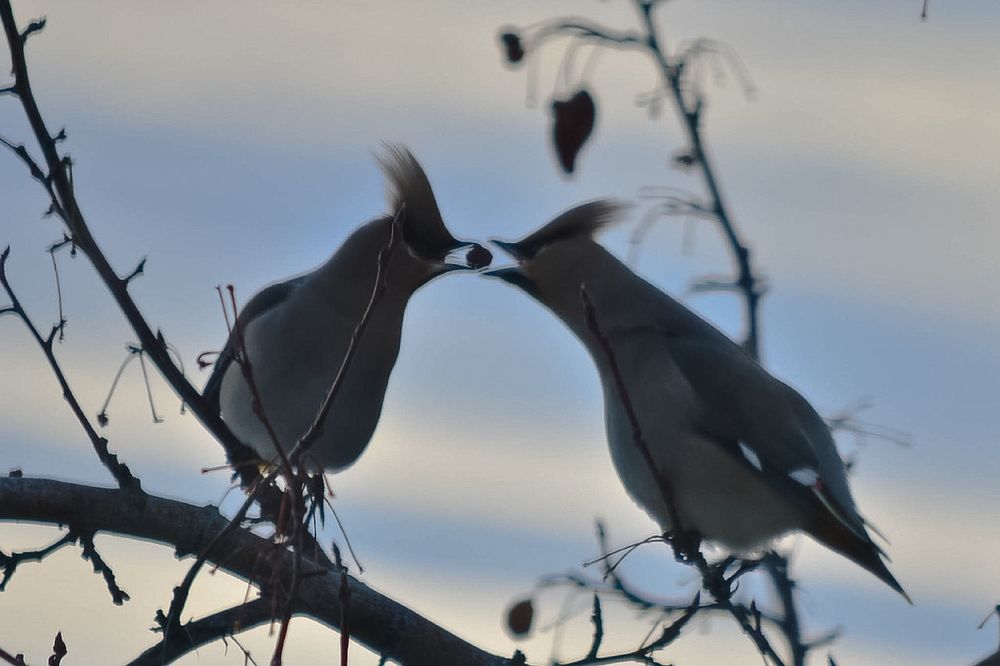 Photograph by Ольга Мокрова