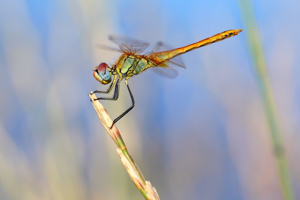 Photograph by Алексей Дудинский