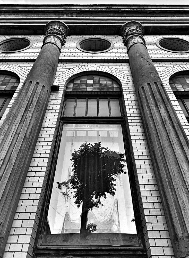 Фотография автора Ola La