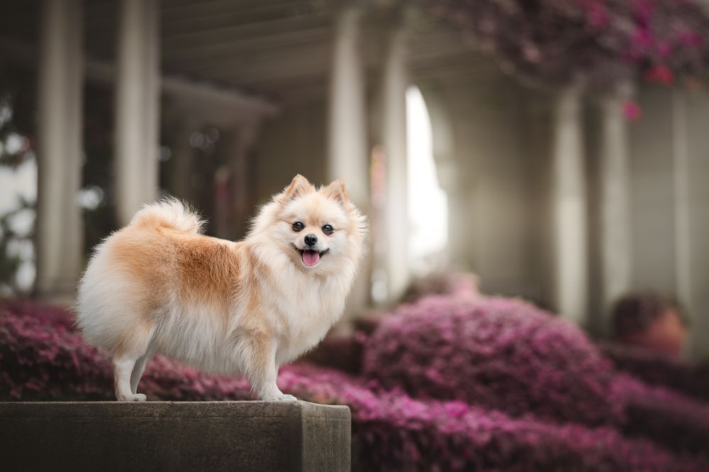 Photograph by Patricia Barros