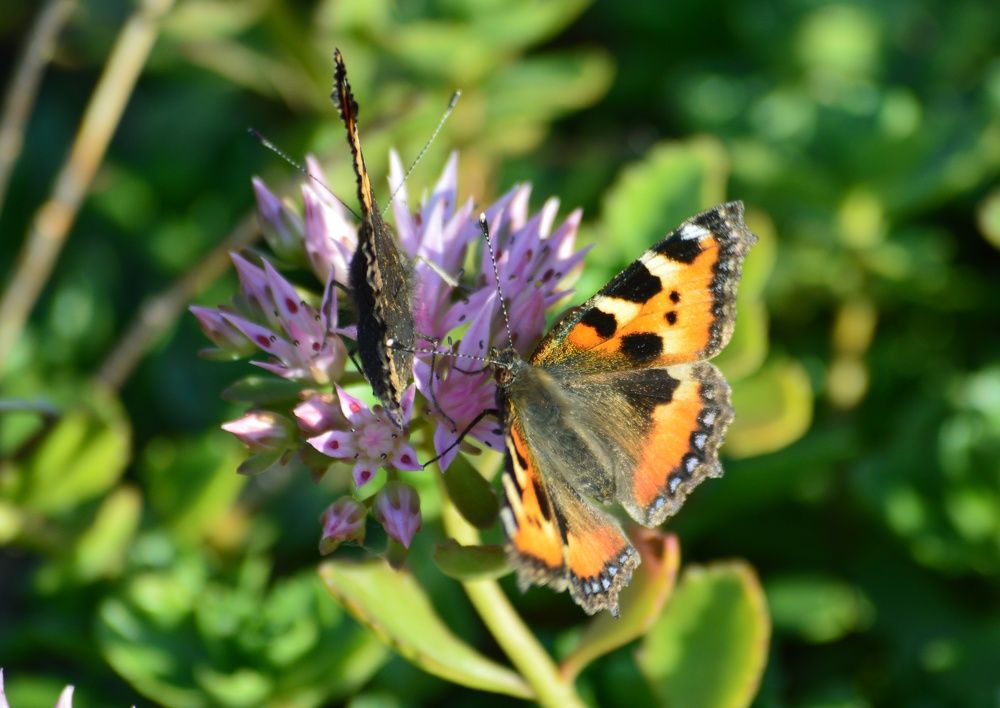 Photograph by Екатерина Казарцева