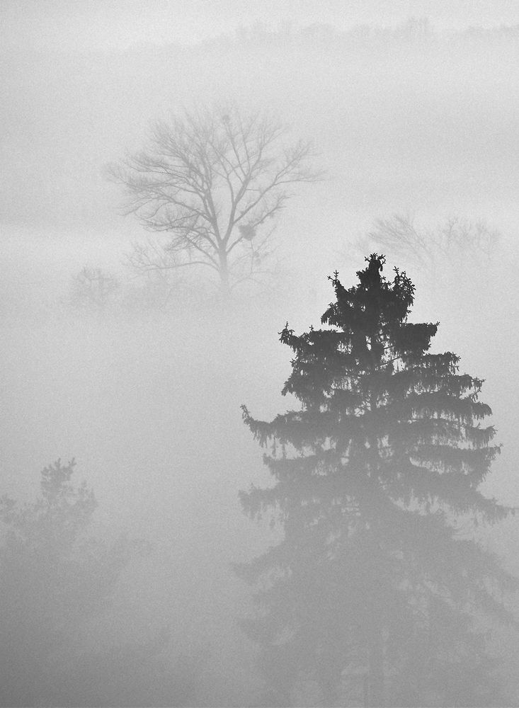 Photograph by Bob Gajdoš