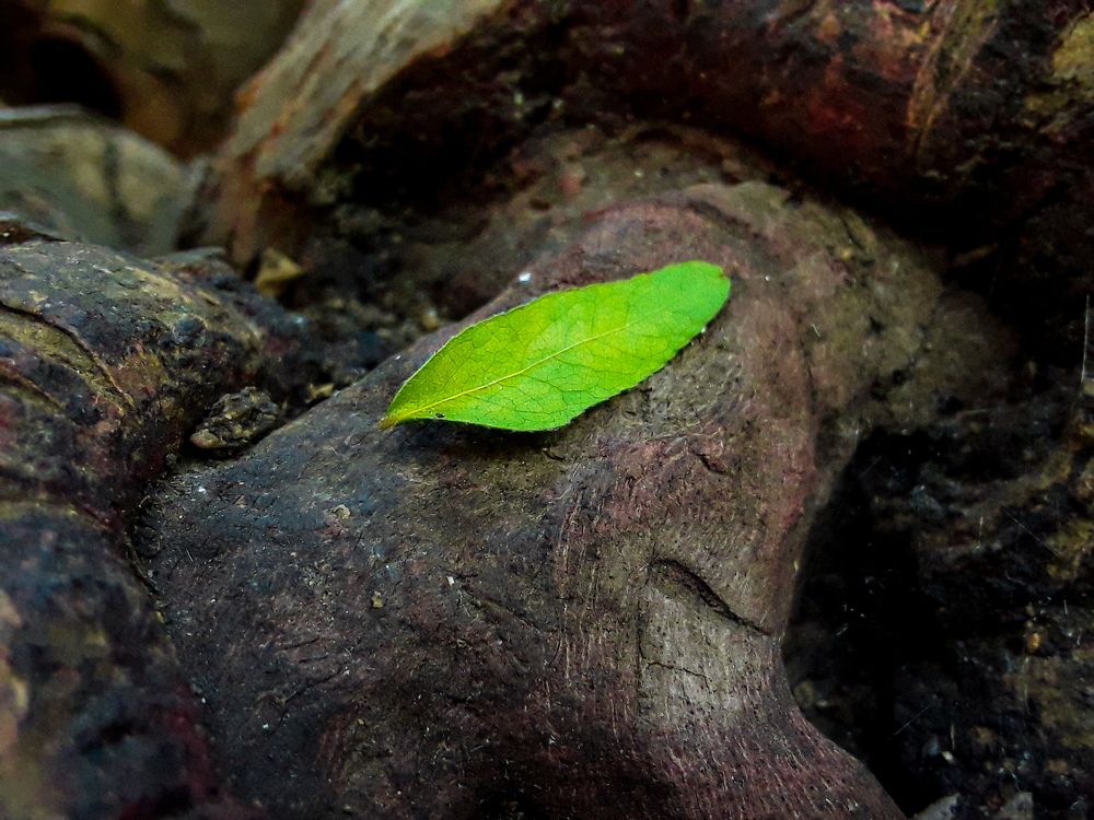 Photograph by Mohamed Ziane