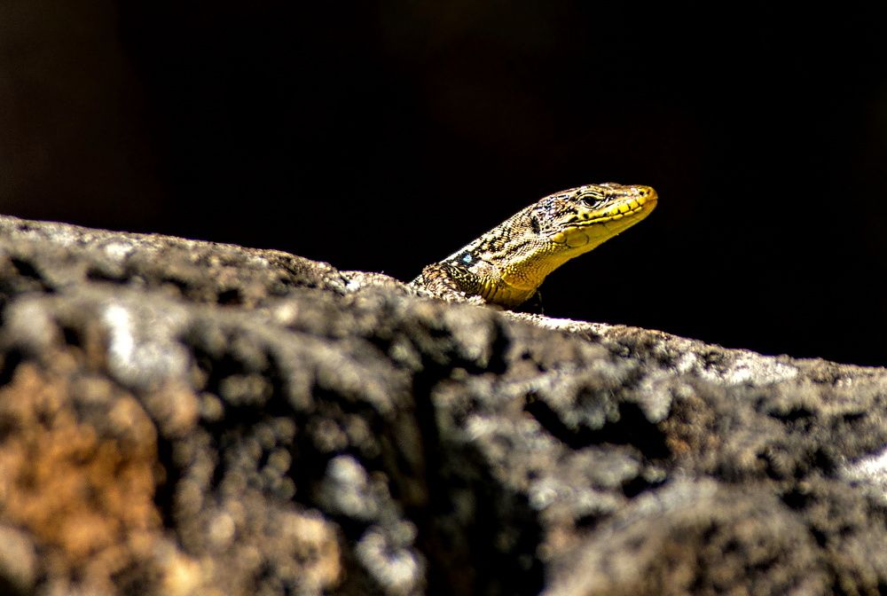 Photograph by Алексей Сиваков