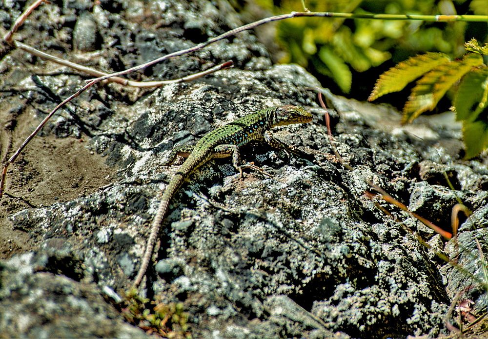 Photograph by Алексей Сиваков