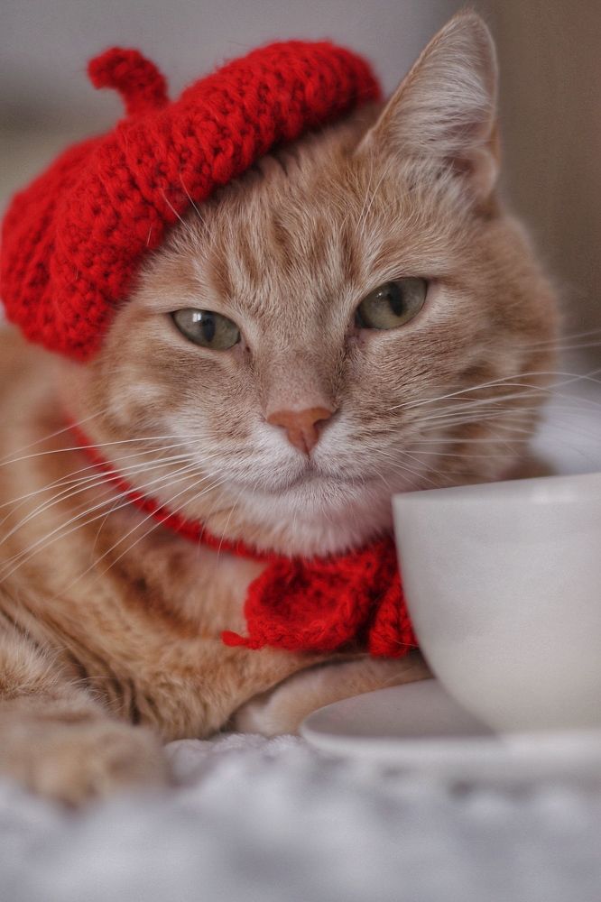 Photograph by Екатерина Алексеева