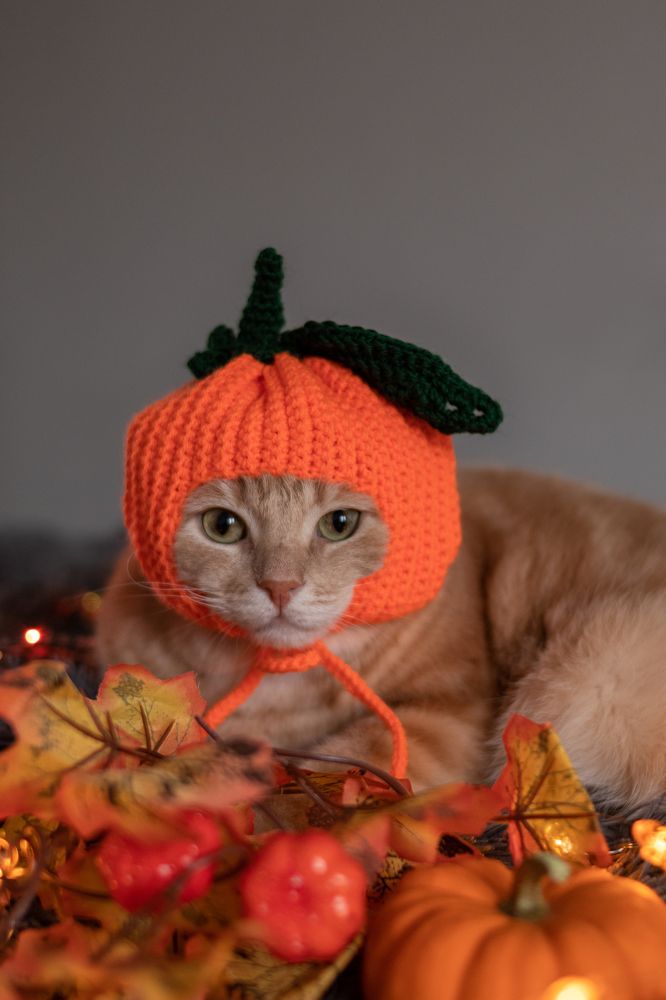 Photograph by Екатерина Алексеева