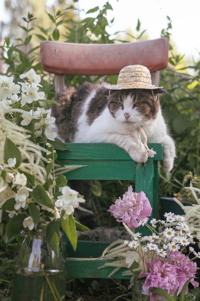 Photograph by Екатерина Алексеева