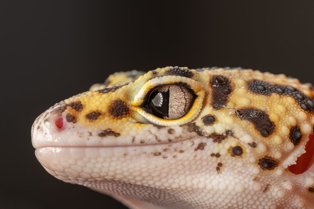 Photograph by Иван Грачев