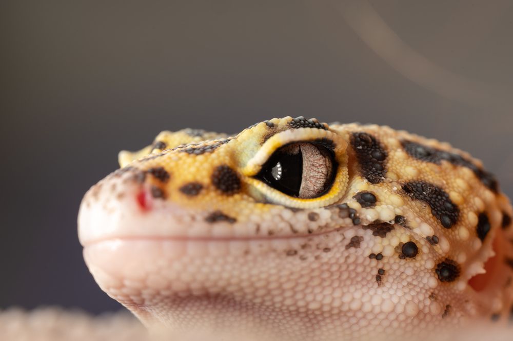 Photograph by Иван Грачев