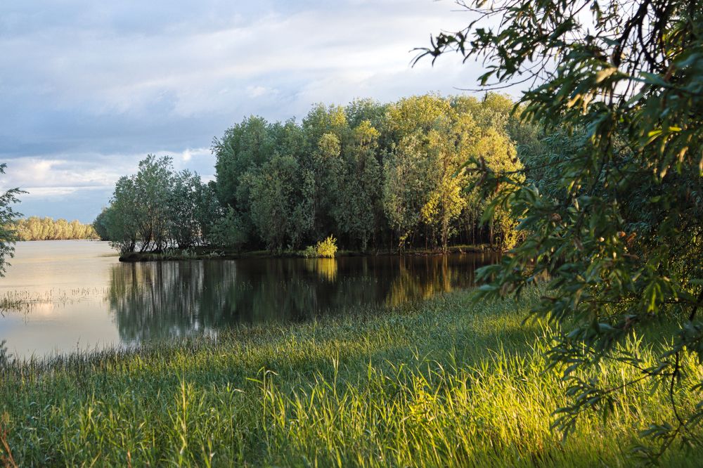 Фотография автора Елена Разина