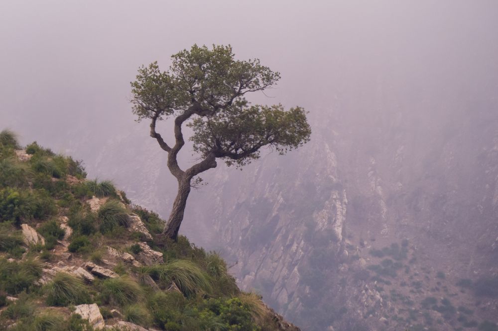 Photograph by Ayoub Kebbour