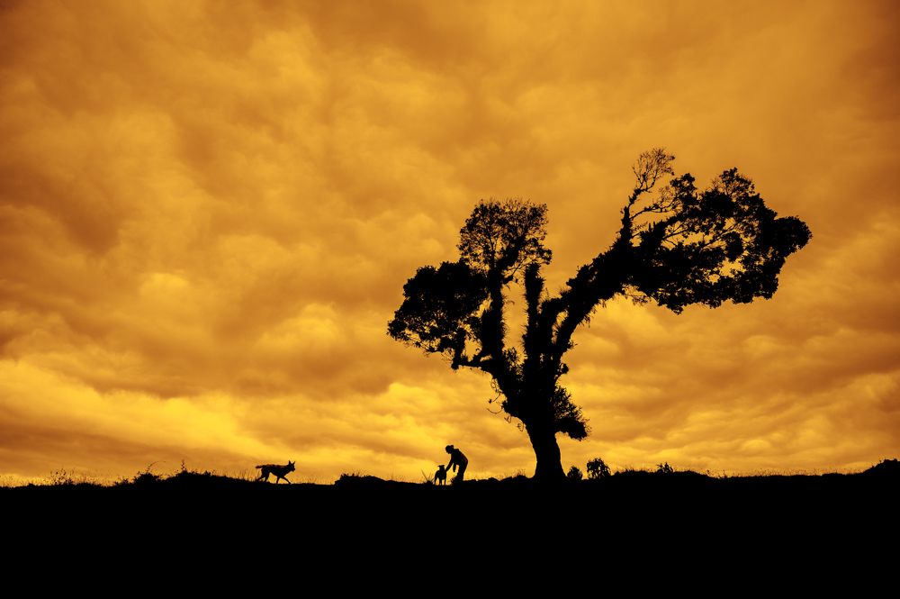 Photograph by Claudia Ruiz