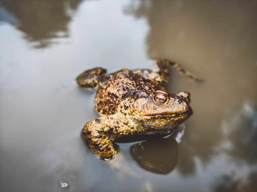 Фотография автора Ирина Гриценко