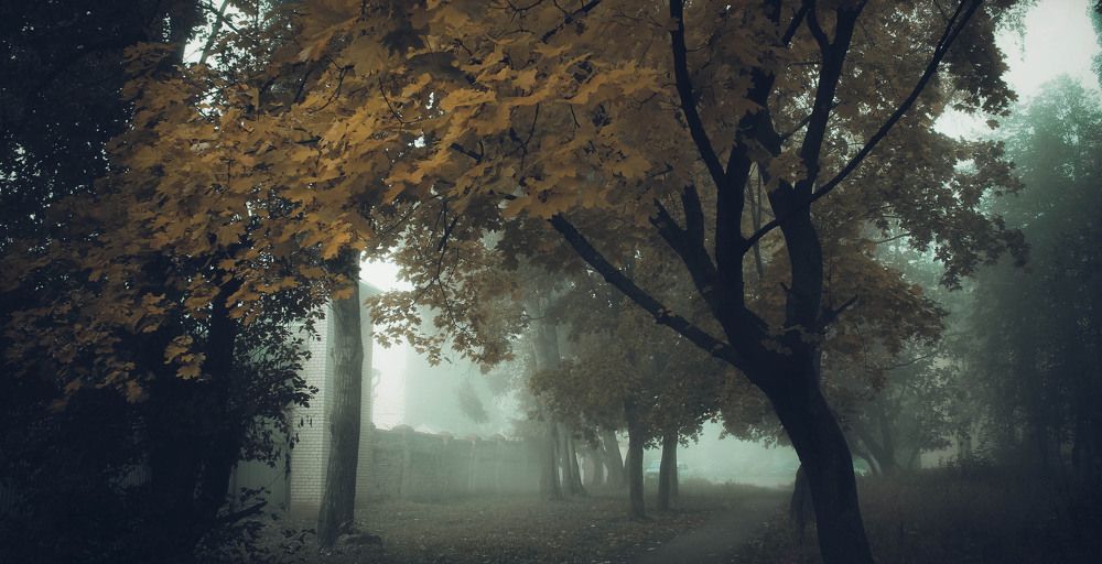 Photograph by Элиза