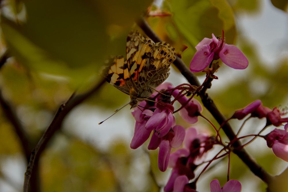 Photograph by Игорь Сидун