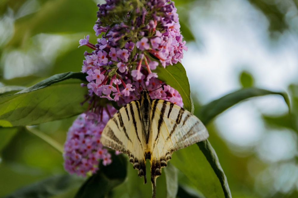 Photograph by Игорь Сидун