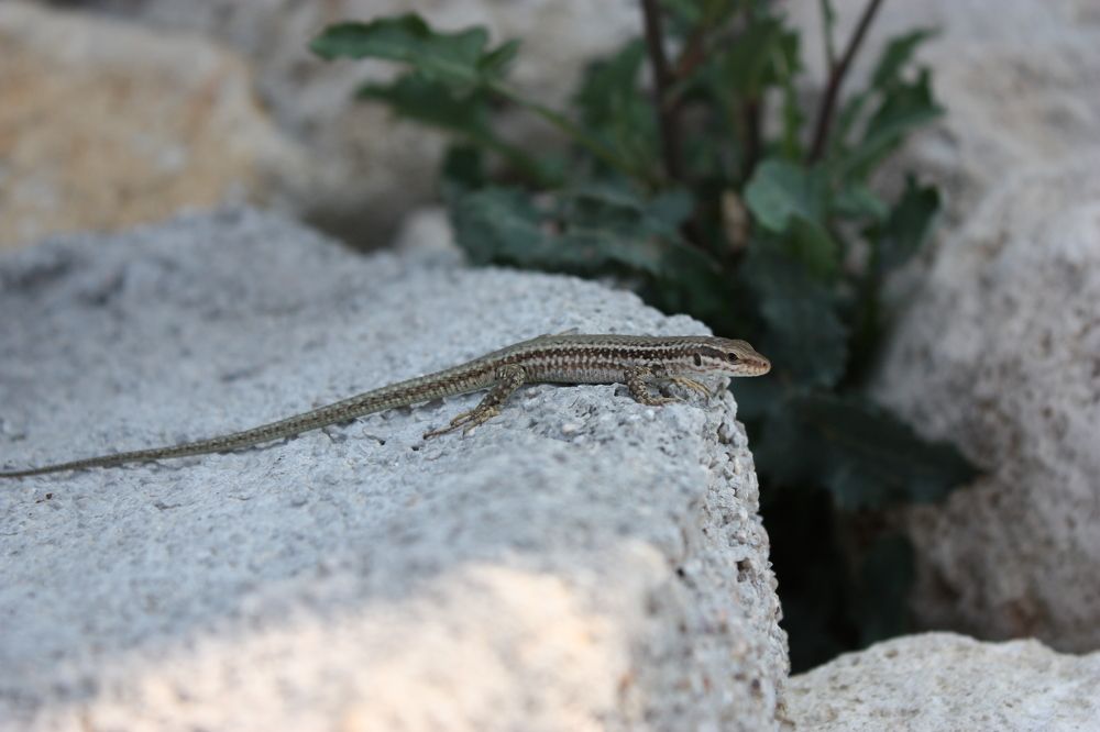 Photograph by Елена Смирнова