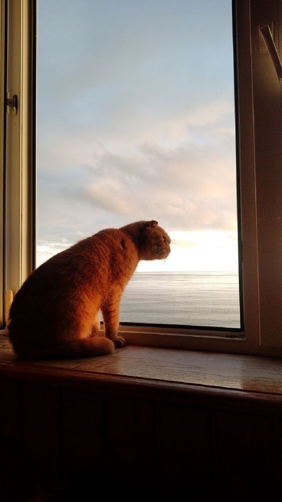 Фотография автора Людмила Леонова