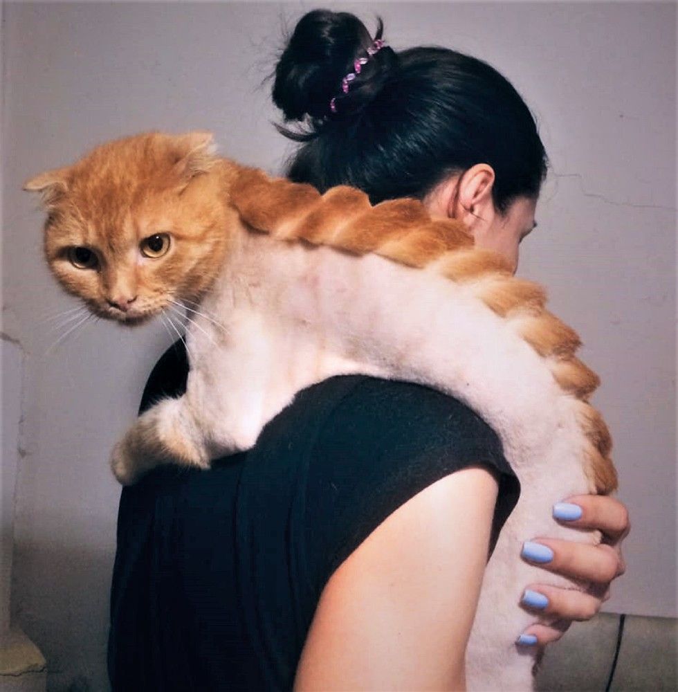 Фотография автора Людмила Леонова